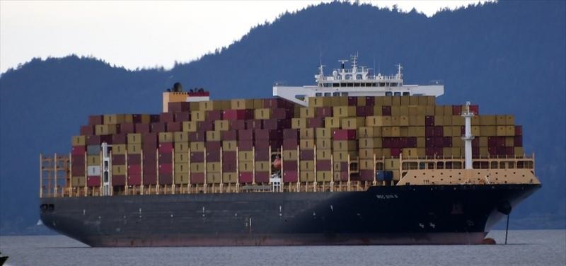 MSC Siya B